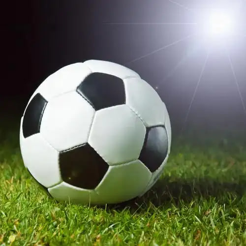 多平台下载支持