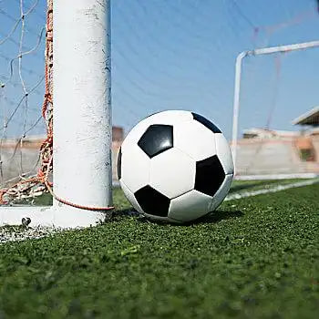 篮球赛事爱好者